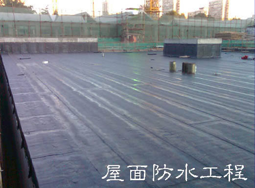 從根本上解決和防治建筑屋面滲漏問題，專家給出的方案是從防水系統(tǒng)設(shè)計、施工過程、材料選材及質(zhì)量監(jiān)管和后期的管理維護等方面著手，嚴格規(guī)范